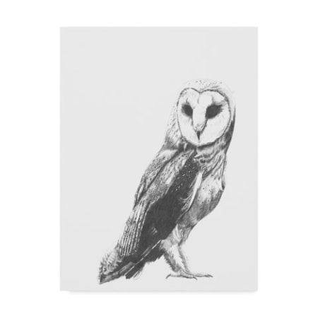 Naomi Mccavitt 'Wildlife Snapshot: Owl' Canvas Art,14x19